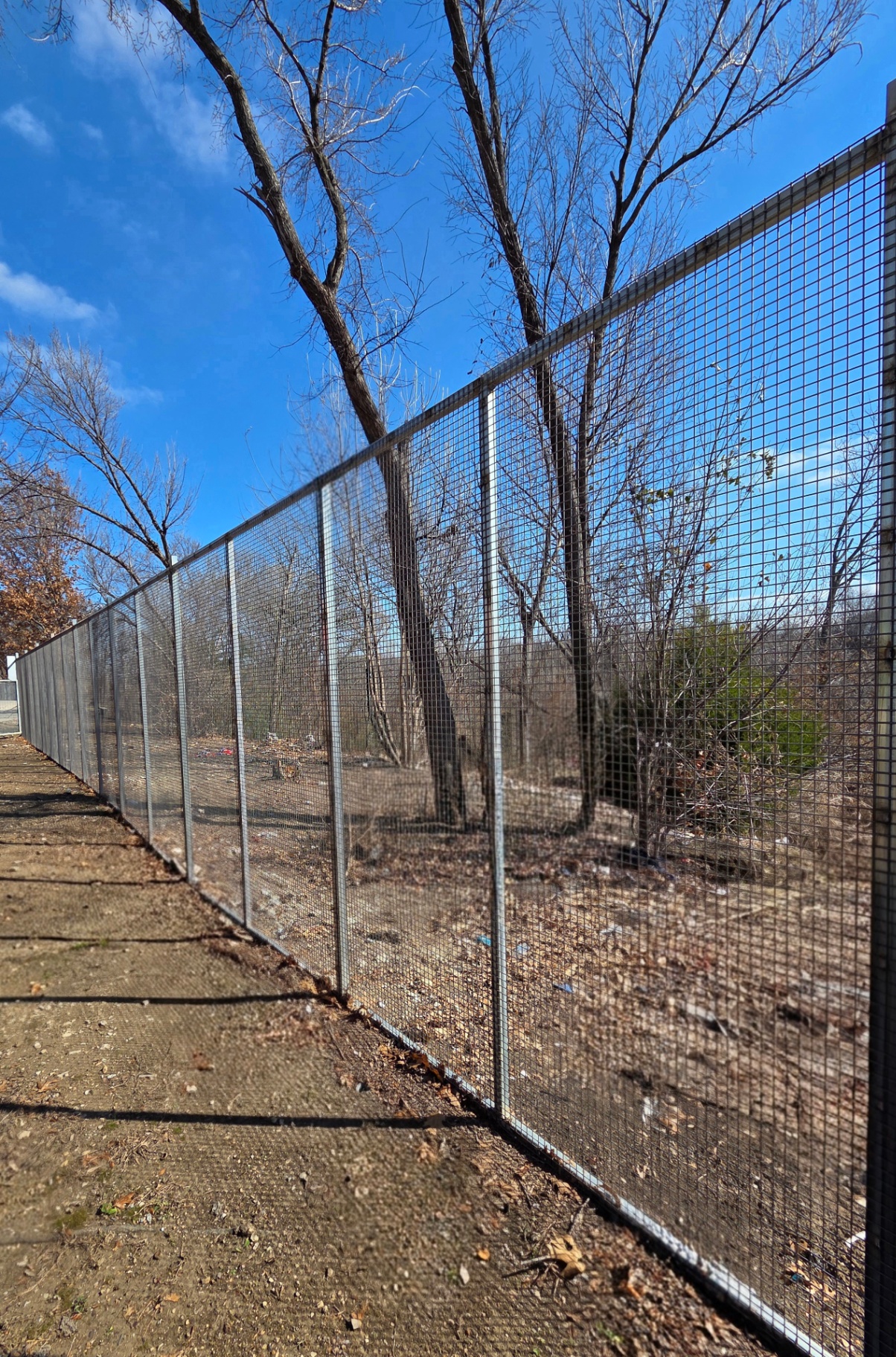 Tall galvanized steel welded wire security panels set in steel tube frames on steel line posts, running along a wooded property line with a cleared strip of bare dirt and leaf litter in front.